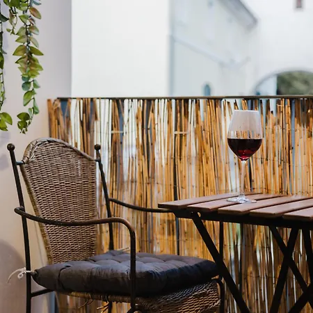 Ziegelloft Appartements - Altstadtnah Und Direkt An Der Ilz Apartment
